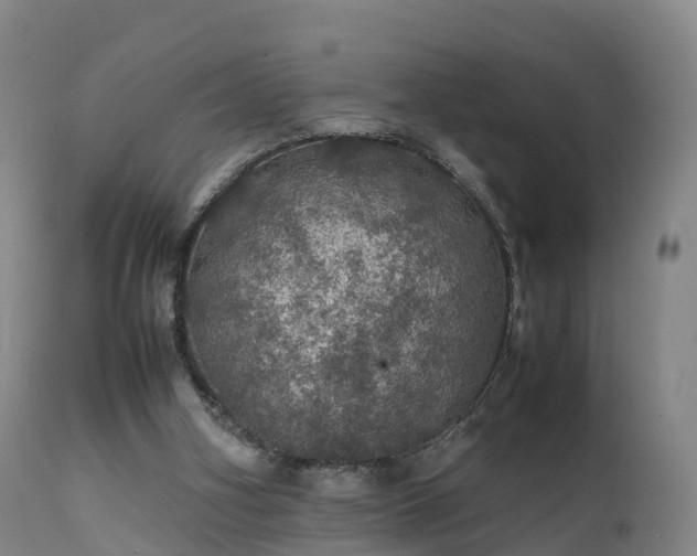 X0000111470106200907201146