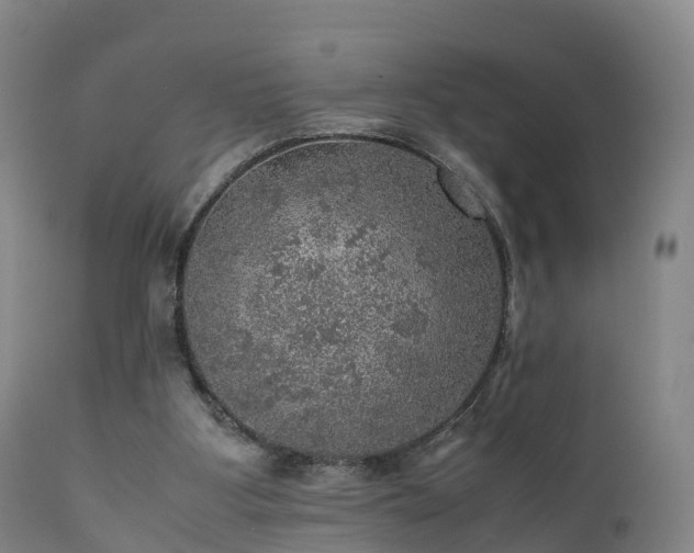 X0000111470107200907201146