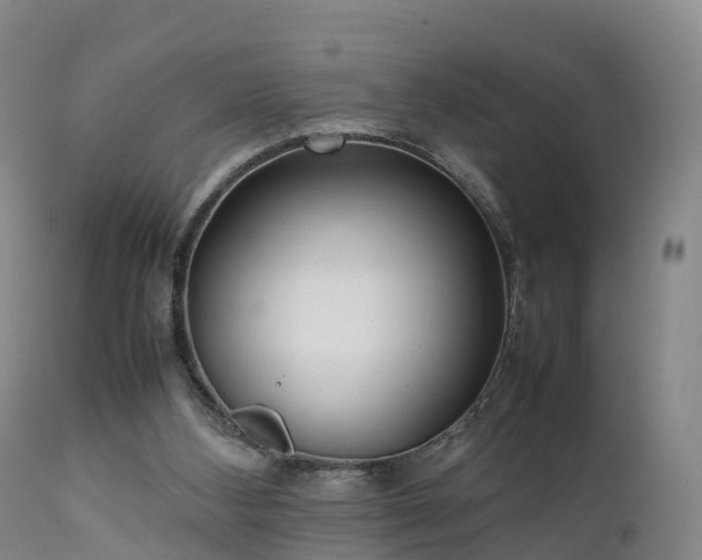 X0000111470108200907201146