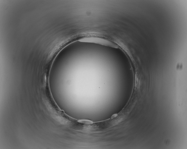 X0000111470109200907201146