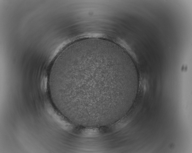 X0000111470110200907201146