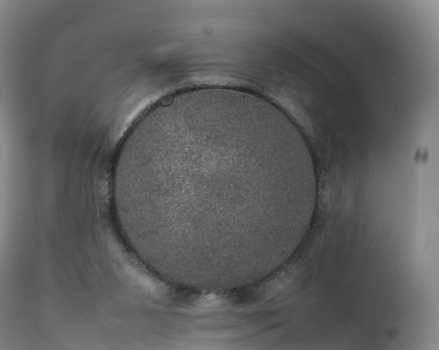 X0000111470111200907201146