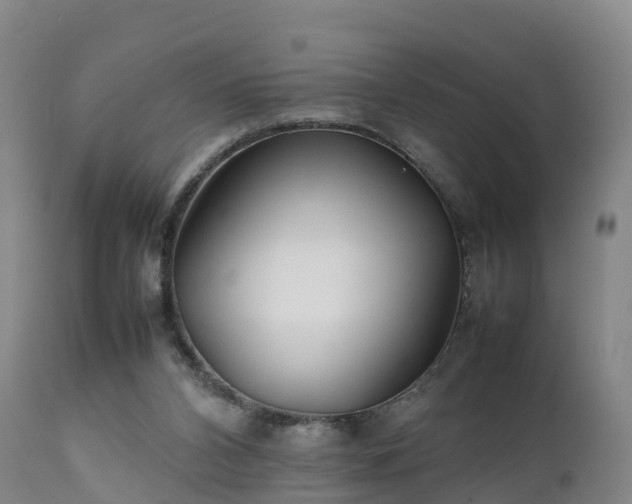 X0000111470112200907201146