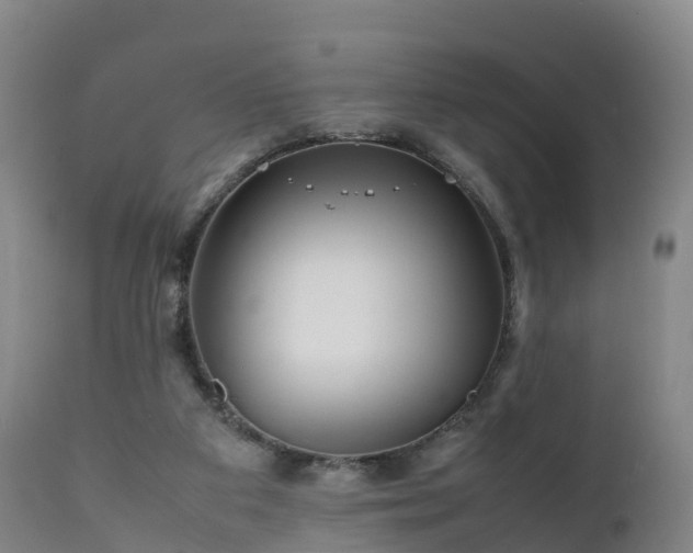 X0000111470113200907201146