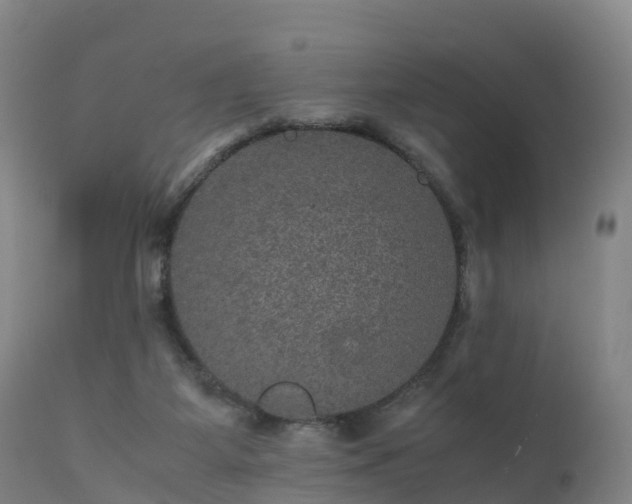 X0000111470115200907201146