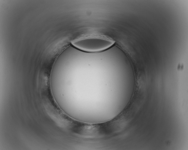 X0000111470117200907201146