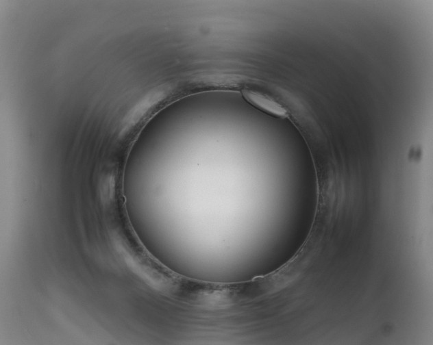 X0000111470120200907201146