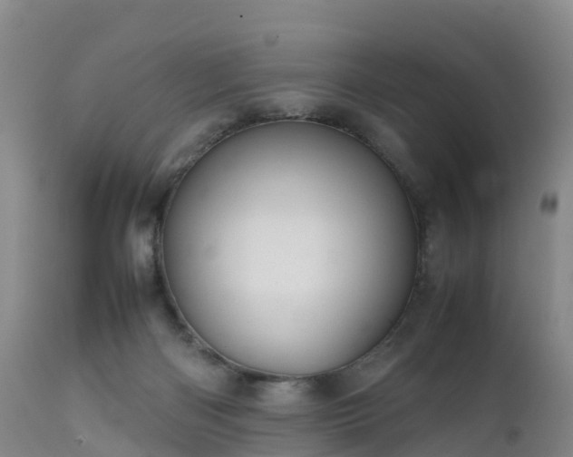 X0000111470122200907201146