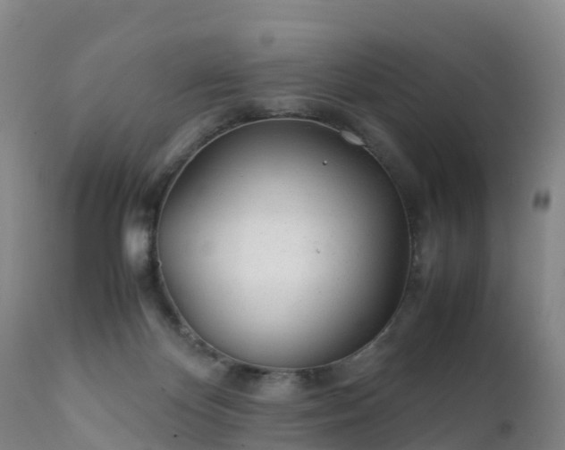 X0000111470124200907201146