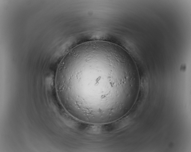 X0000111470127200907201146