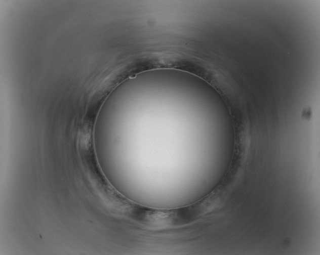 X0000111470129200907201146