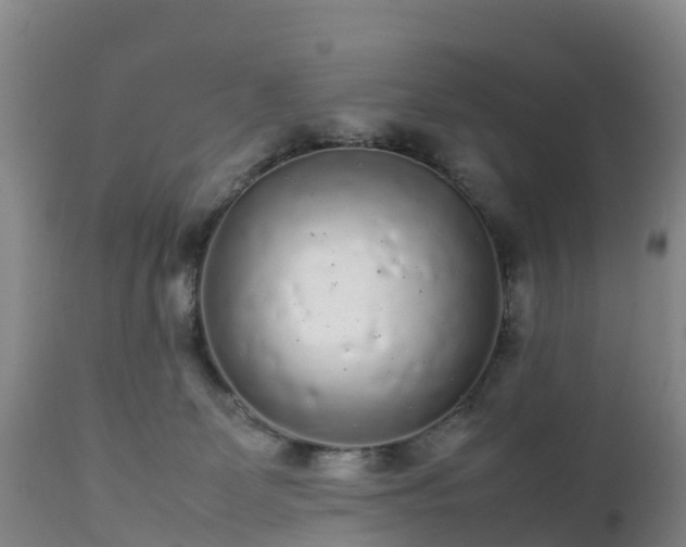 X0000111470131200907201146