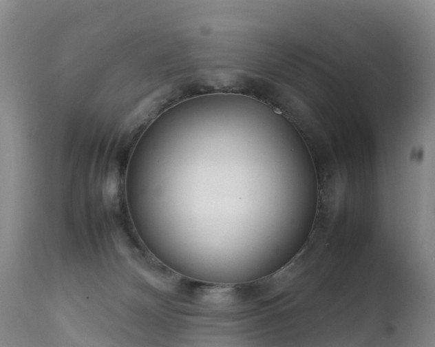 X0000111470132200907201146