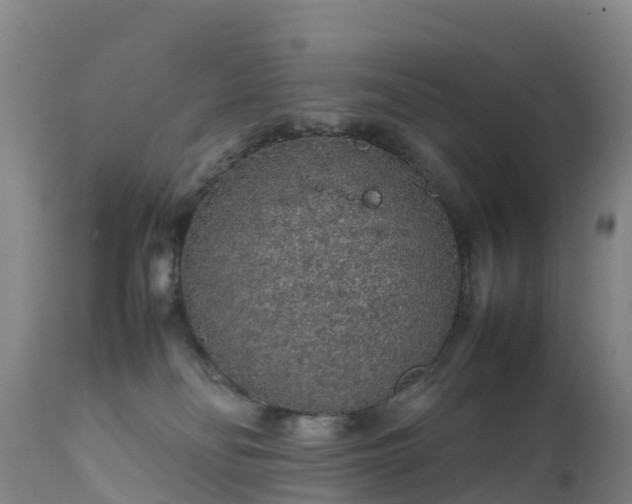 X0000111470134200907201146