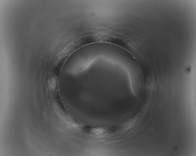 X0000111470139200907201146