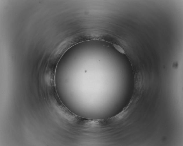 X0000111470140200907201145