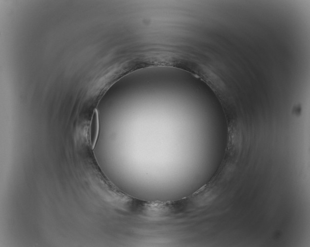 X0000111470141200907201145