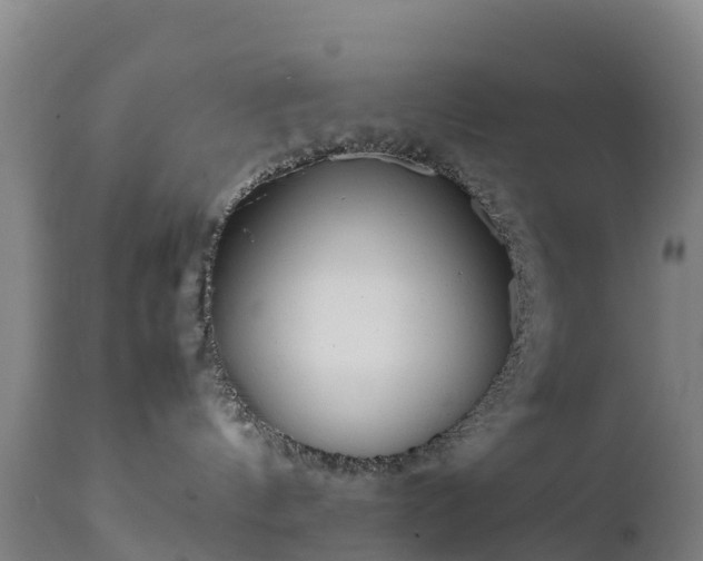 X0000111470144200907201145