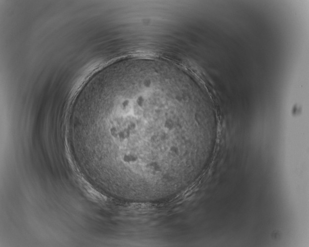 X0000111470145200907201145