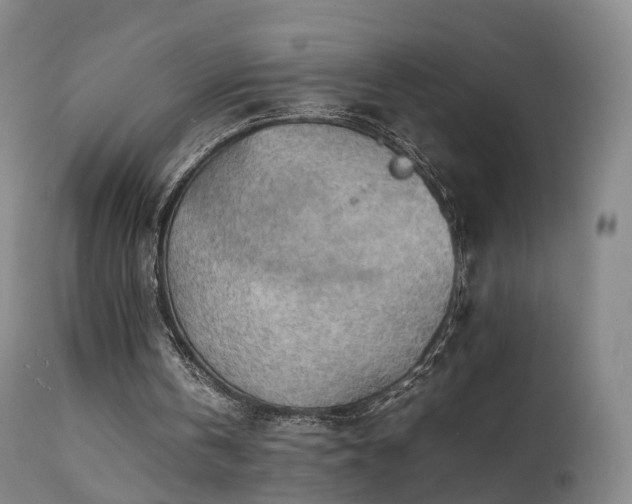 X0000111470146200907201145