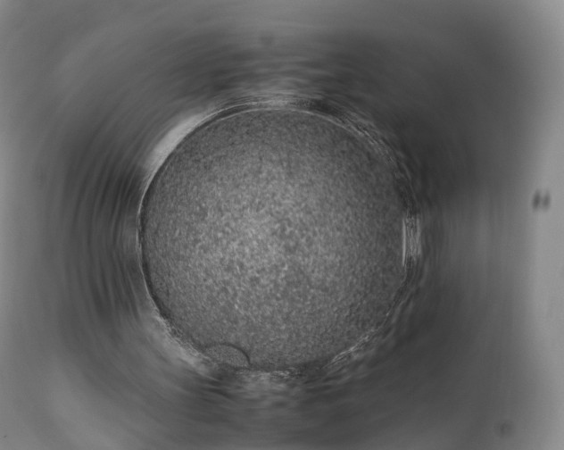 X0000111470147200907201145