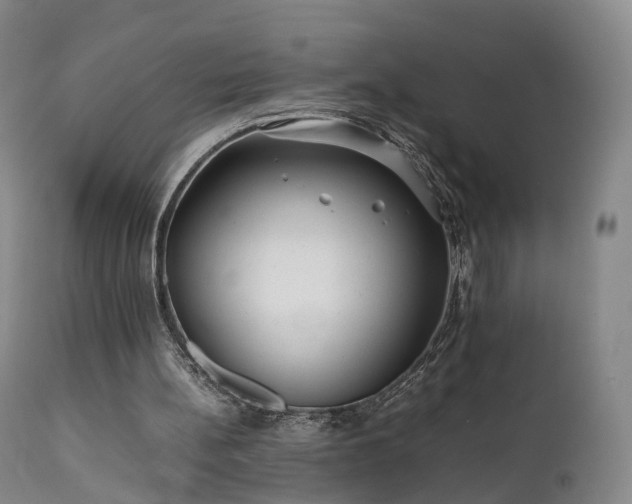 X0000111470148200907201145