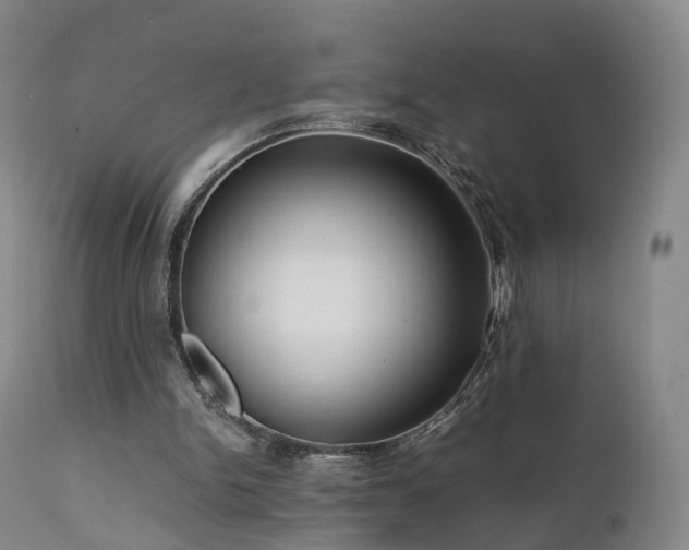 X0000111470150200907201145