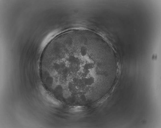 X0000111470151200907201145