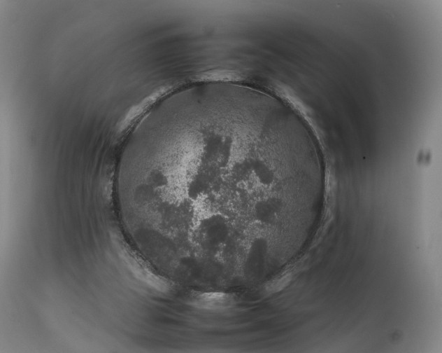 X0000111470153200907201145