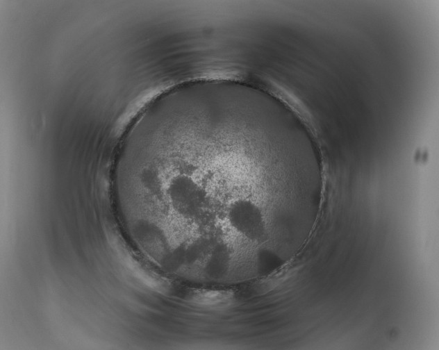 X0000111470155200907201145