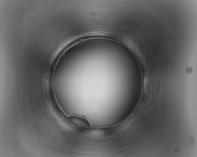 X0000111470156200907201145