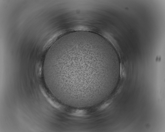 X0000111470157200907201145