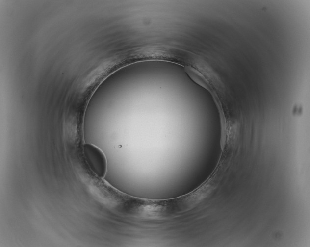 X0000111470158200907201145