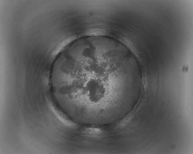 X0000111470159200907201145