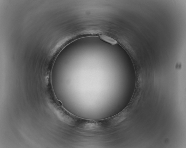 X0000111470160200907201145