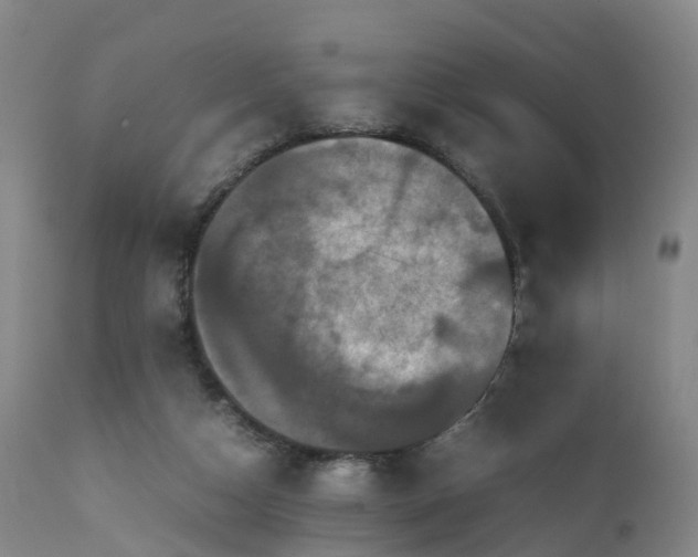 X0000111470162200907201145