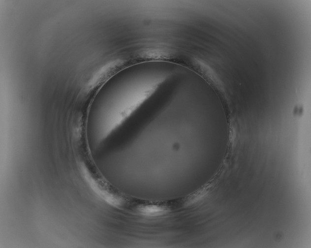 X0000111470163200907201145