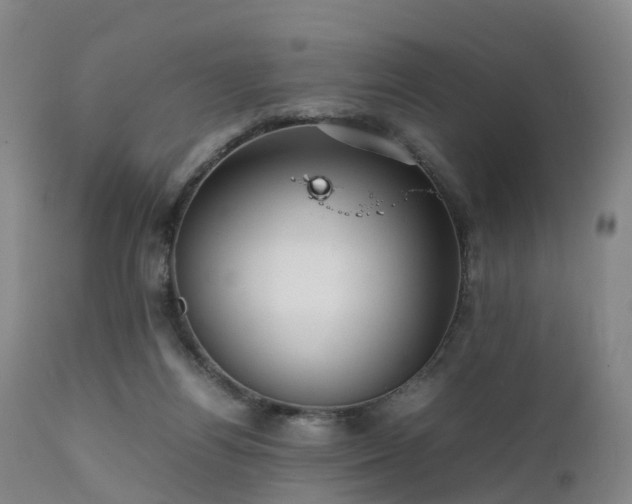 X0000111470164200907201145