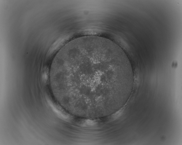 X0000111470166200907201145