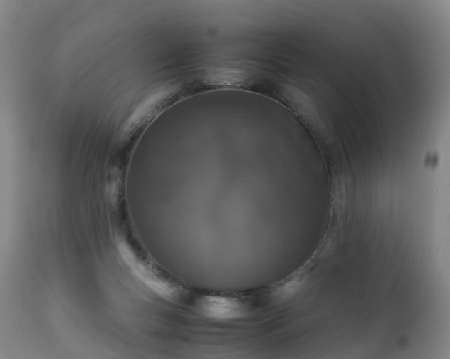 X0000111470167200907201145