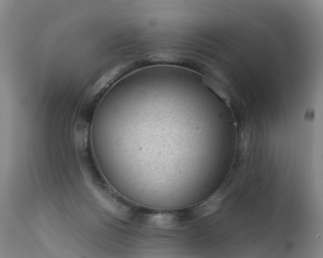 X0000111470168200907201145