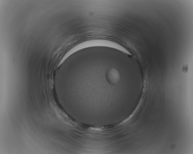 X0000111470170200907201145