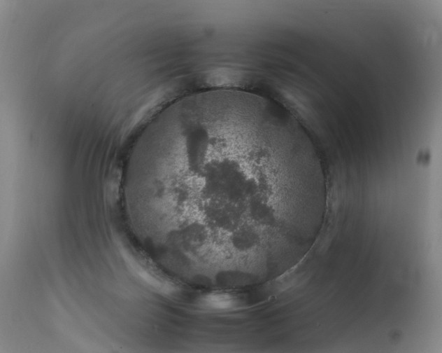 X0000111470171200907201145