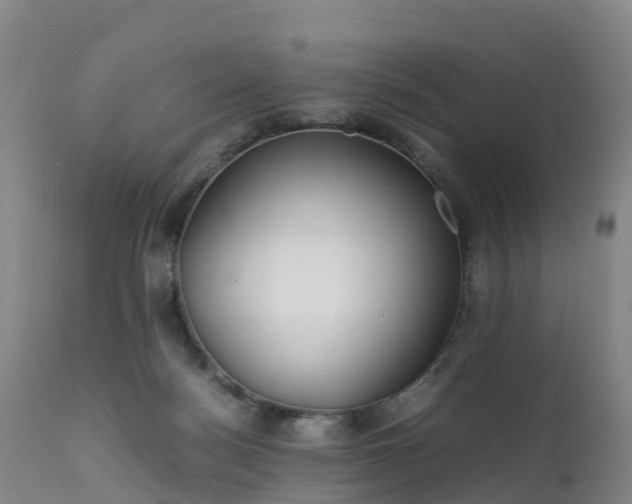 X0000111470172200907201145