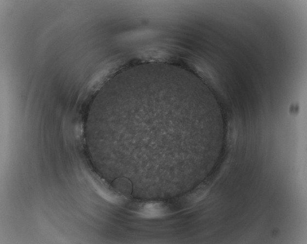 X0000111470173200907201145