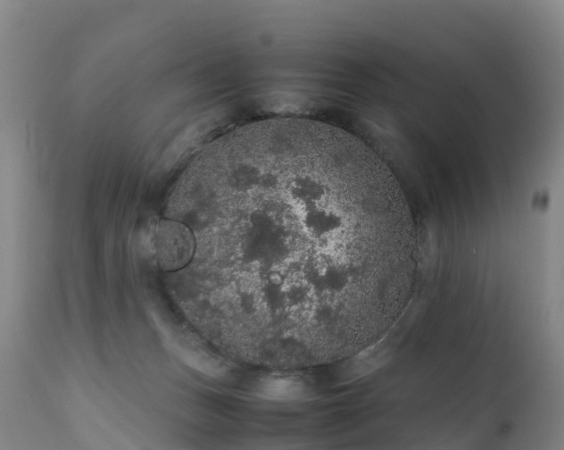 X0000111470175200907201145