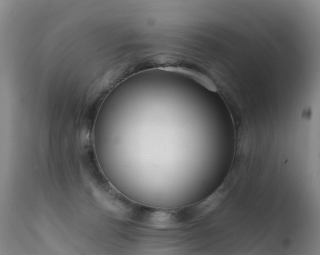 X0000111470176200907201145