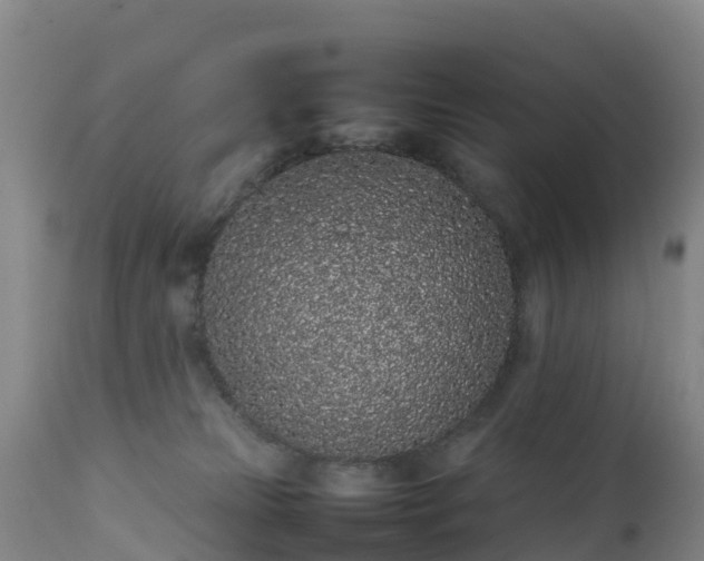 X0000111470181200907201145