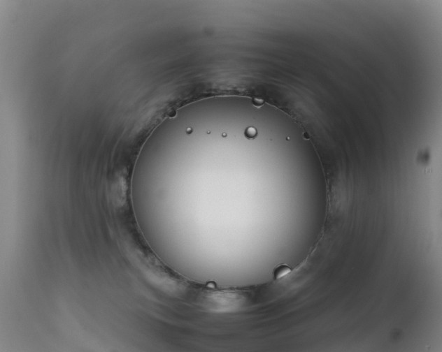 X0000111470183200907201145