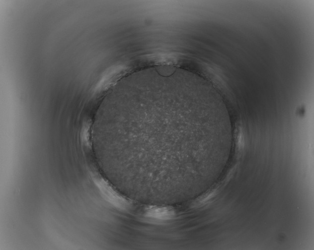 X0000111470185200907201145